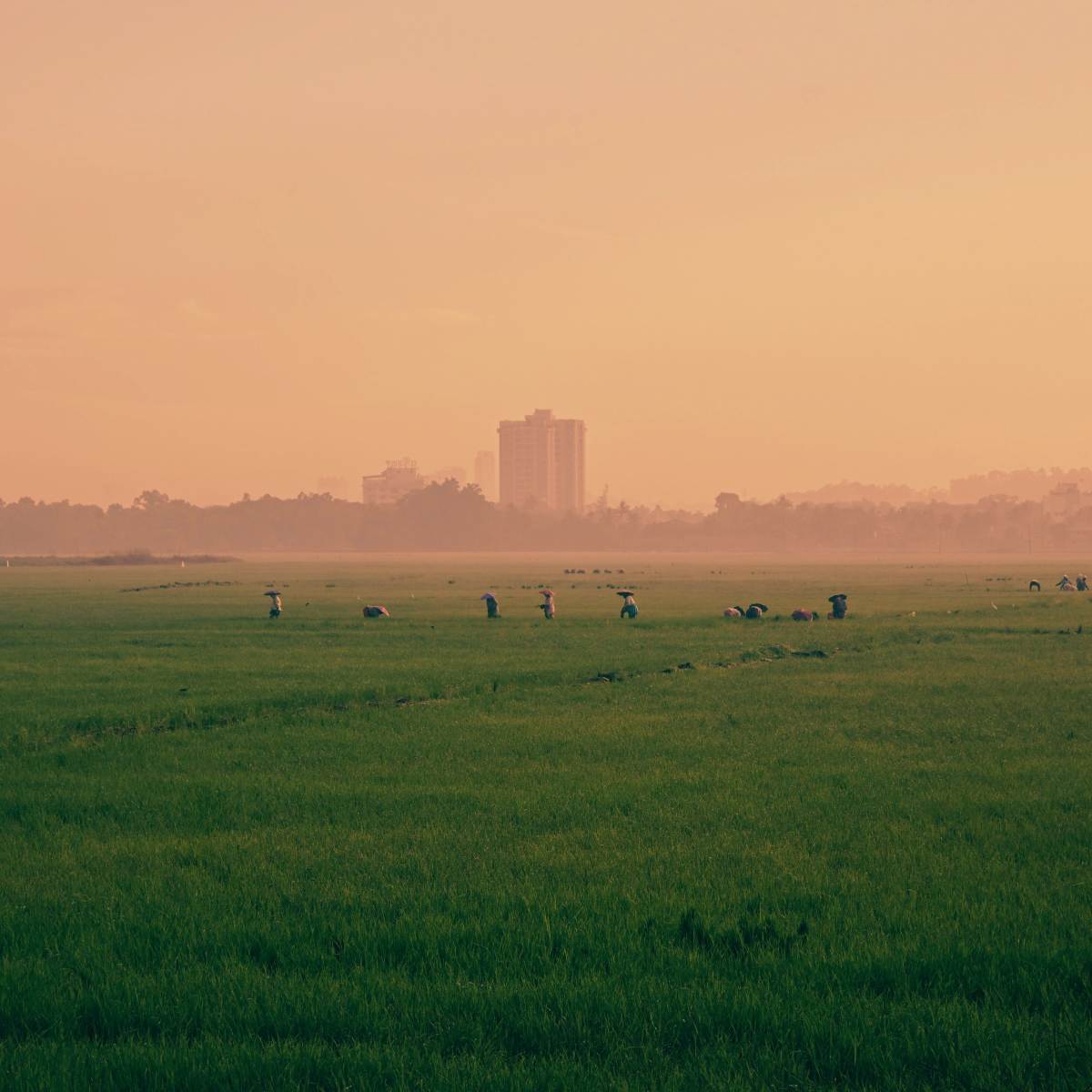 Scenic landscape in Mymensingh Division, Bangladesh – Construction projects